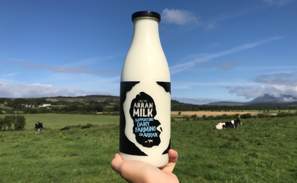 Arran Milk bottle in front of a field of dairy cows