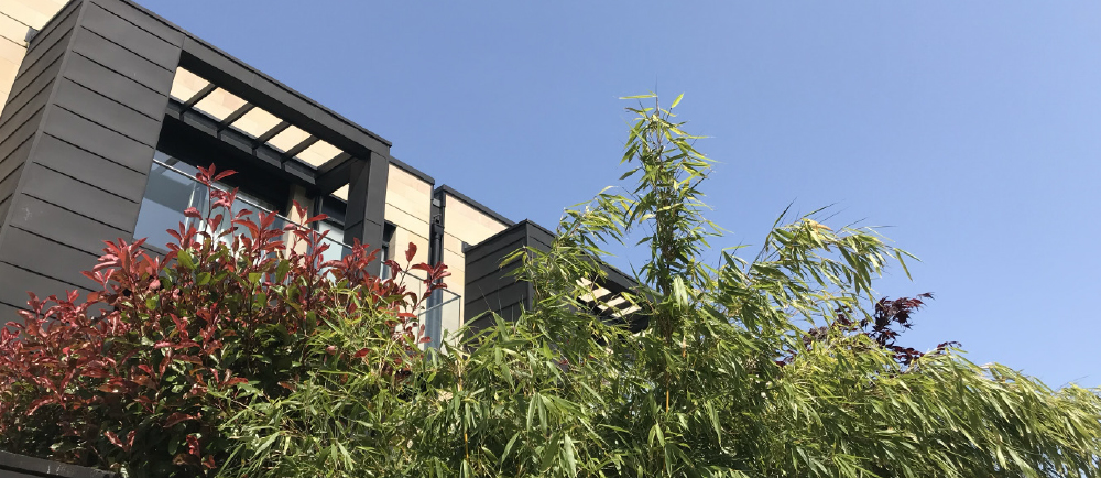 An example of a Buccleuch Property building