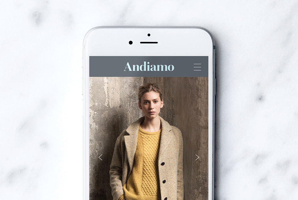 Andiamo website shown on a phone